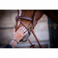 French Equestrian Penelope US Bridle