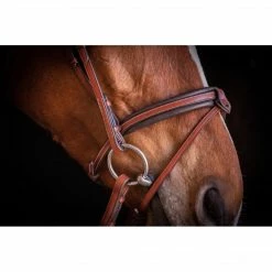 French Equestrian Penelope US Bridle