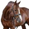 French Equestrian Penelope Daily Bridle 2 French Equestrian Penelope Daily Bridle