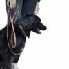 French Equestrian Penelope Leather Dog Leash 2 French Equestrian Penelope Leather Dog Leash