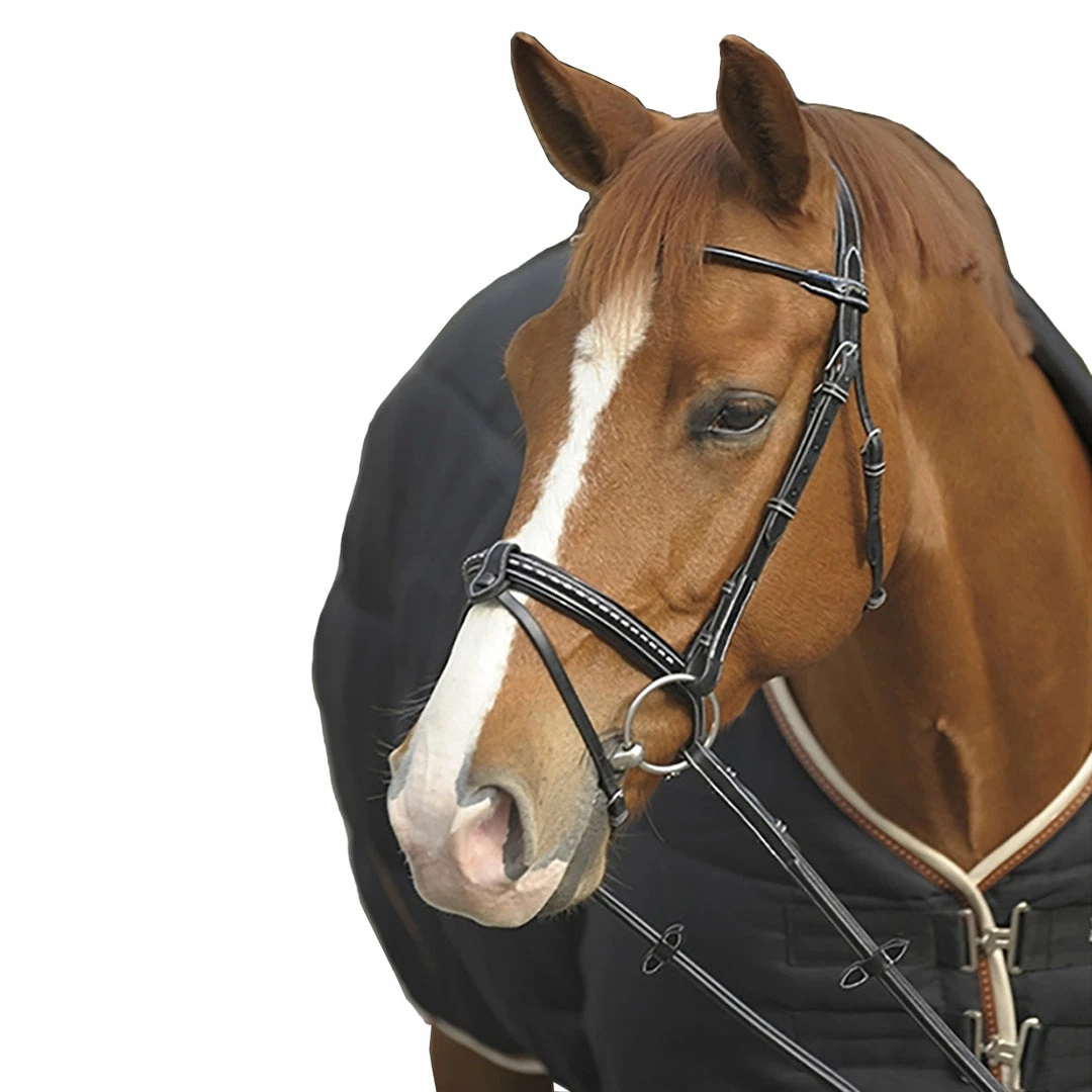 French Equestrian English Bridles Penelope Point Sellier Bridle 3 French Equestrian English Bridles Penelope Point Sellier Bridle