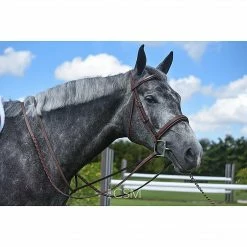 Renaissance By Prestige Hunter Bridle Gifts For Your Horse