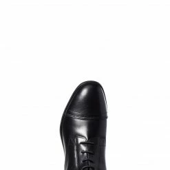 Riding Boots & Half Chaps Ariat Women's Kinsley Field Tall Riding Boot