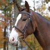 Shires Equestrian Products Avignon Ocala Bridle