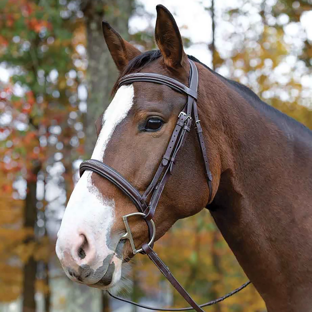Shires Equestrian Products Avignon Ocala Bridle 3 Shires Equestrian Products Avignon Ocala Bridle