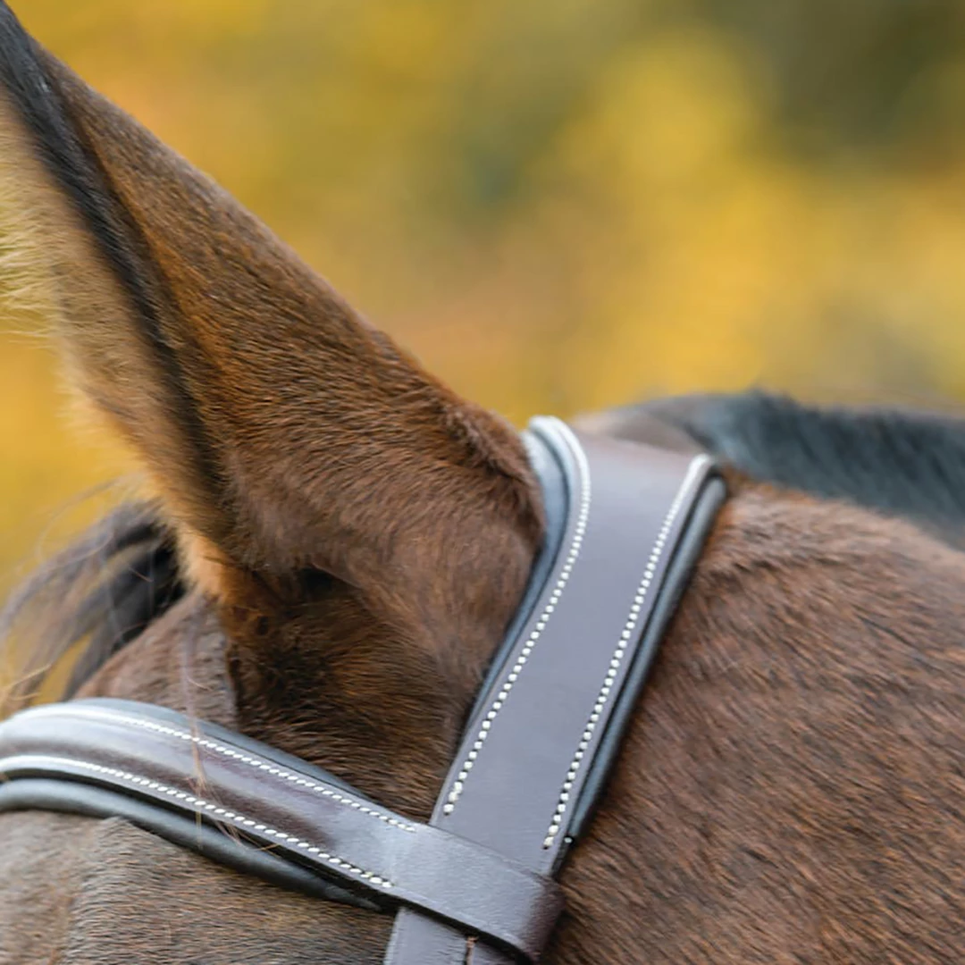 Shires Equestrian Products Avignon Ocala Bridle 4 Shires Equestrian Products Avignon Ocala Bridle