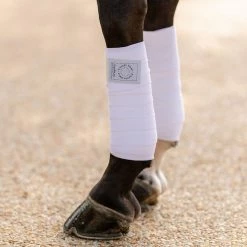 Horse Boots & Wraps EquiFit T-Sport Wrap 13 Horse Boots & Wraps EquiFit T-Sport Wrap