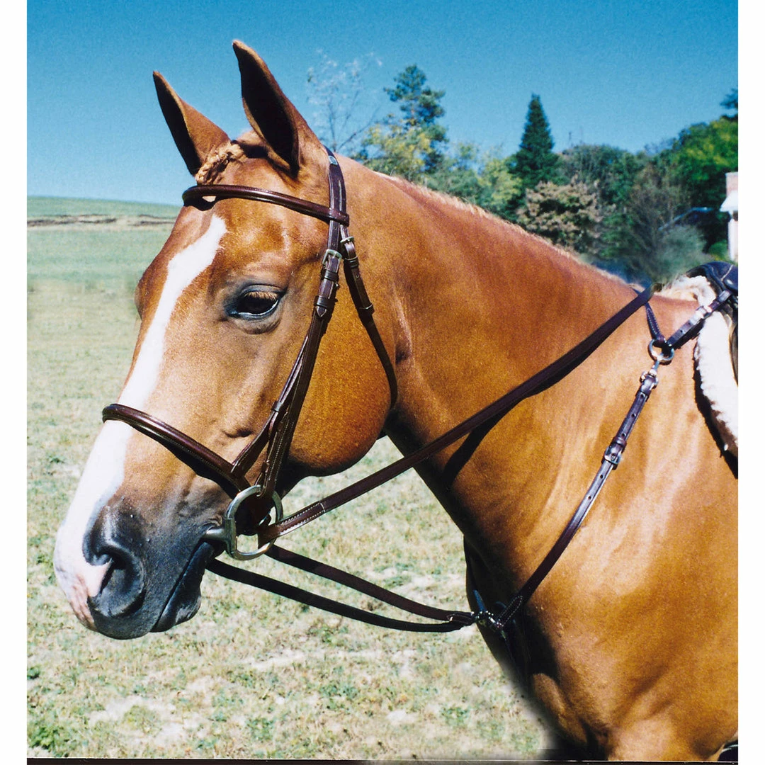 Tory Leather Draw Reins With Breastplate Snaps Horse Training Equipment 3 Tory Leather Draw Reins With Breastplate Snaps Horse Training Equipment