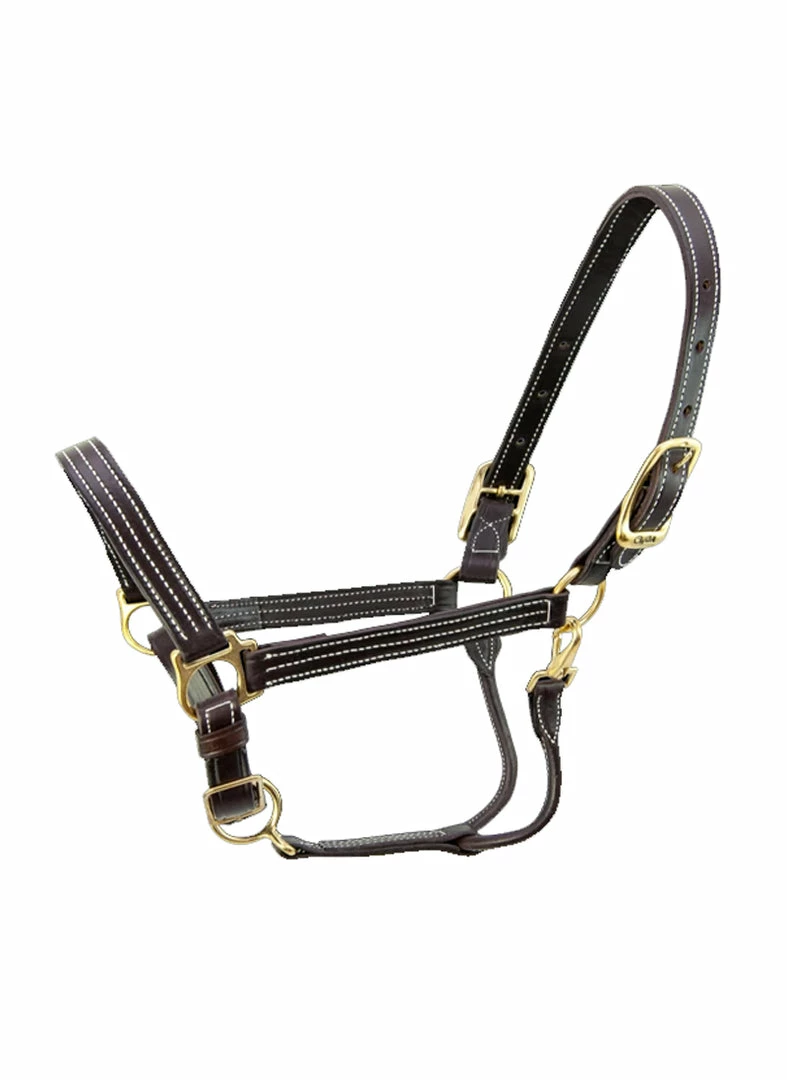 Halters & Leads Walsh Kentucky Halter 3 Halters & Leads Walsh Kentucky Halter