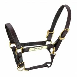 Halters & Leads Walsh Kentucky Halter 8 Halters & Leads Walsh Kentucky Halter