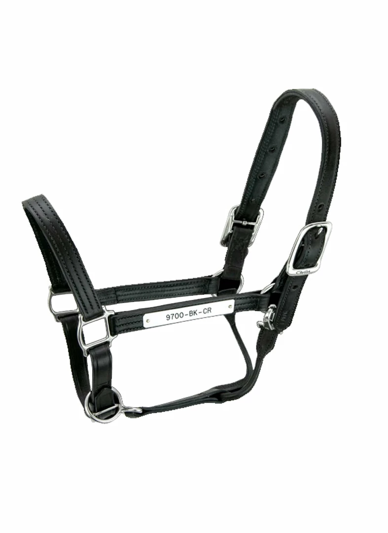 Halters & Leads Walsh Kentucky Halter 4 Halters & Leads Walsh Kentucky Halter