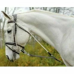 Shires Equestrian Products Avignon De Gogue Training Aid Horse Training Equipment