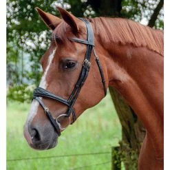 Sagmae Dyon Anatomic Flash Noseband Bridle - D Collection