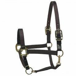 Perri's Leather Perri's Premium Nylon Safety Halter Halters & Leads