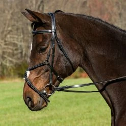 JPC Equestrian English Bridles HDR Pro Mono Crown Raised Figure Eight Bridle With Rubber Reins