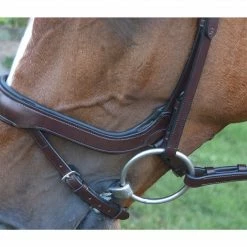 Red Barn By KL Select Arena Ergonomic Bridle
