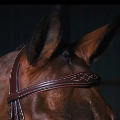 Sagmae Dyon Anatomic Flash Noseband Bridle - D Collection