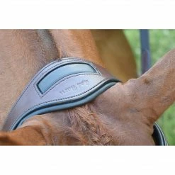 Red Barn By KL Select Arena Ergonomic Bridle