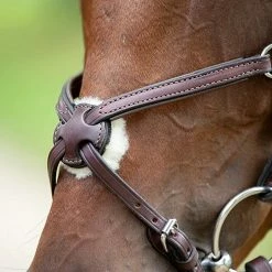 English Bridles Nunn Finer Figure Eight Bridle