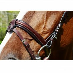 KL Select Italia Burghley Eventing Bridle