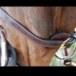 Sagmae Dyon Anatomic Flash Noseband Bridle - D Collection