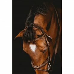 Samshield Arion Anatomic French Noseband Bridle