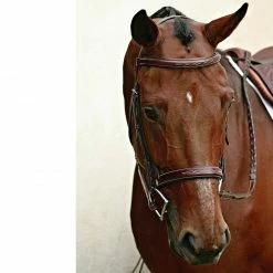 English Bridles Nunn Finer Caterina Hunter Bridle