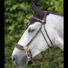 Sagmae Dyon Hackamore Bridle