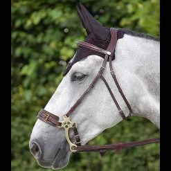 Sagmae Dyon Hackamore Bridle