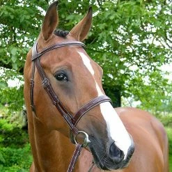 Sagmae Dy'on Fancy Stitch Wide Noseband Bridle English Bridles