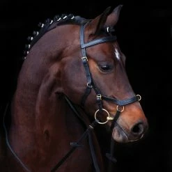 English Bridles Horseware Rambo Micklem Multibridle