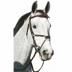 JPC Equestrian English Bridles HDR Pro Mono Crown Raised Figure Eight Bridle With Rubber Reins