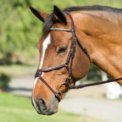 English Bridles Nunn Finer Figure Eight Bridle