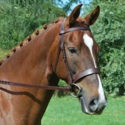 English Bridles Black Oak By KL Select Foxtrot Hunt Bridle