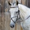 Black Oak By KL Select Cedar Eventing Bridle