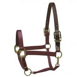 Perri's Leather Perri's Premium Nylon Safety Halter Halters & Leads
