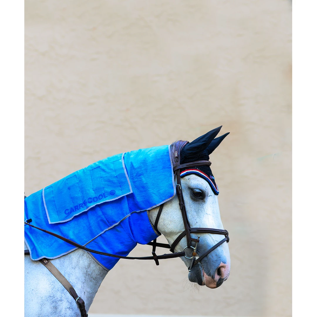 EquiSources Carry-Cool Sport Horse Cooling Kit 3 EquiSources Carry-Cool Sport Horse Cooling Kit