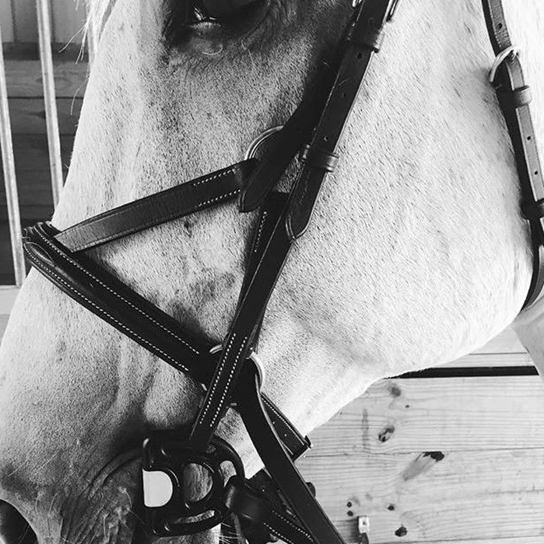 Frantisi Acavallo Sensitive Bit 13 Frantisi Acavallo Sensitive Bit