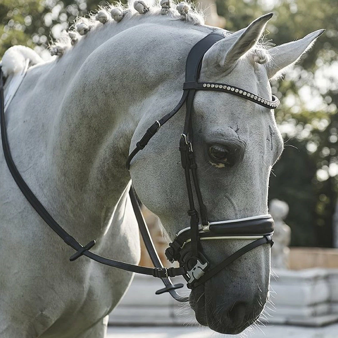 Frantisi Acavallo Sensitive Bit 15 Frantisi Acavallo Sensitive Bit