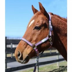 JPC Equestrian Tuffrider Nylon Breakaway Halter And Lead