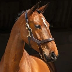 Halters & Leads Horseware Rambo Micklem Halter 9 Halters & Leads Horseware Rambo Micklem Halter