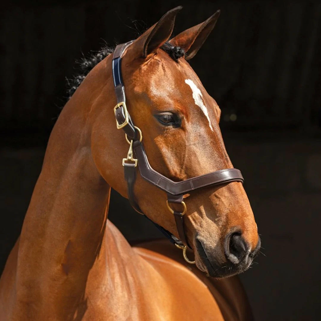 Halters & Leads Horseware Rambo Micklem Halter 6 Halters & Leads Horseware Rambo Micklem Halter