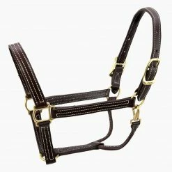 Walsh British Halter Halters & Leads