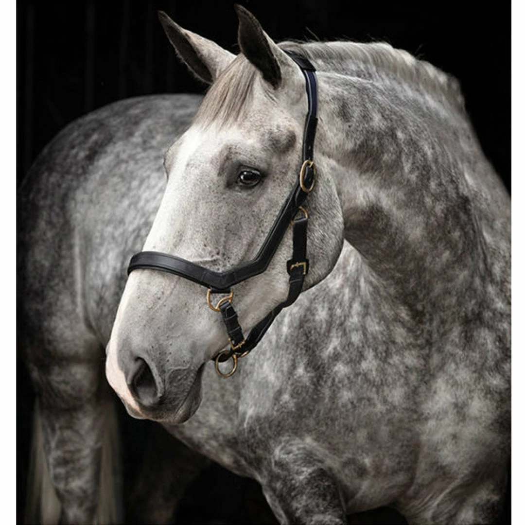 Halters & Leads Horseware Rambo Micklem Halter 5 Halters & Leads Horseware Rambo Micklem Halter