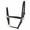 Perri's Leather Turnout Halter Halters & Leads
