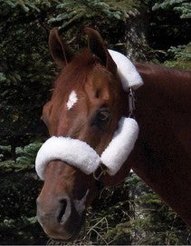 Toklat Originals Wool Back Halter Tube Set- 4 Piece Halters & Leads