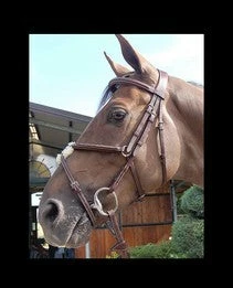 Sagmae English Bridles Dyon Hunter Collection Figure 8 Bridle