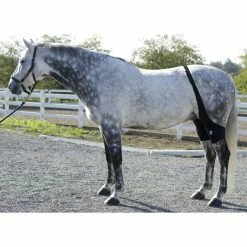 Ice Horse Stifle Wrap Therapeutic Horse Boots & Wraps