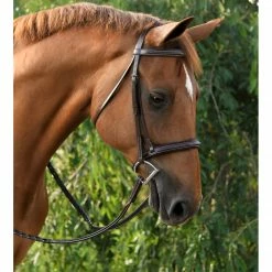 English Bridles Red Barn By KL Select Icon Hunter Bridle