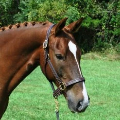 Halters & Leads Red Barn By KL Select Julie Halter